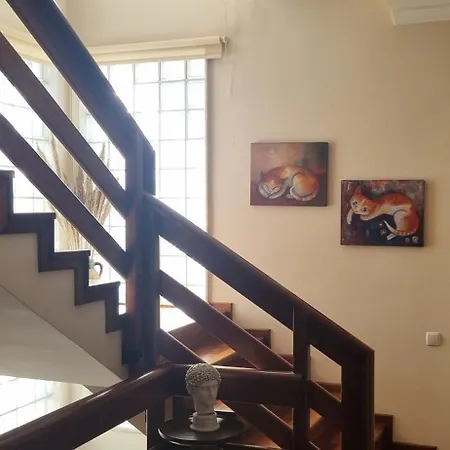 فندق مبيت وإفطار Ephesus