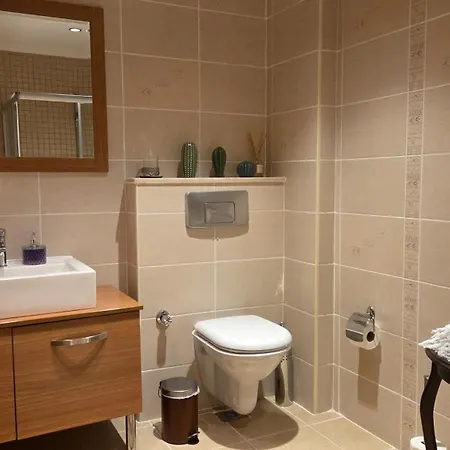 Ephesus セルチュク